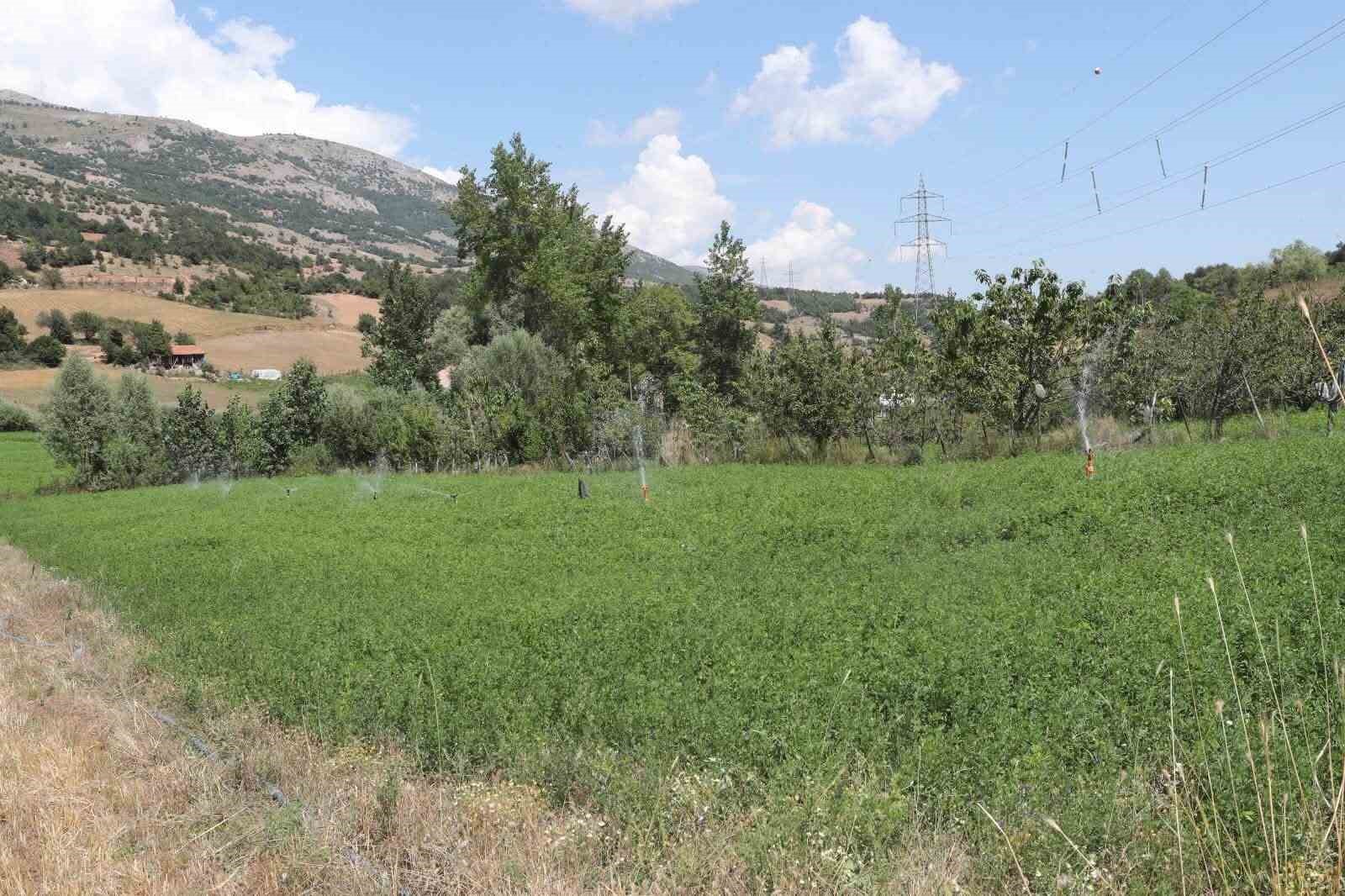Amasya’nın Direkli köyünde 19 hektar araziye basınçlı sulama sistemi