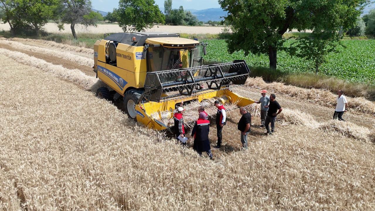 Erzincan&rsquo;da buğday hasadı s&uuml;r&uuml;yor, bi&ccedil;erd&ouml;verler denetlendi