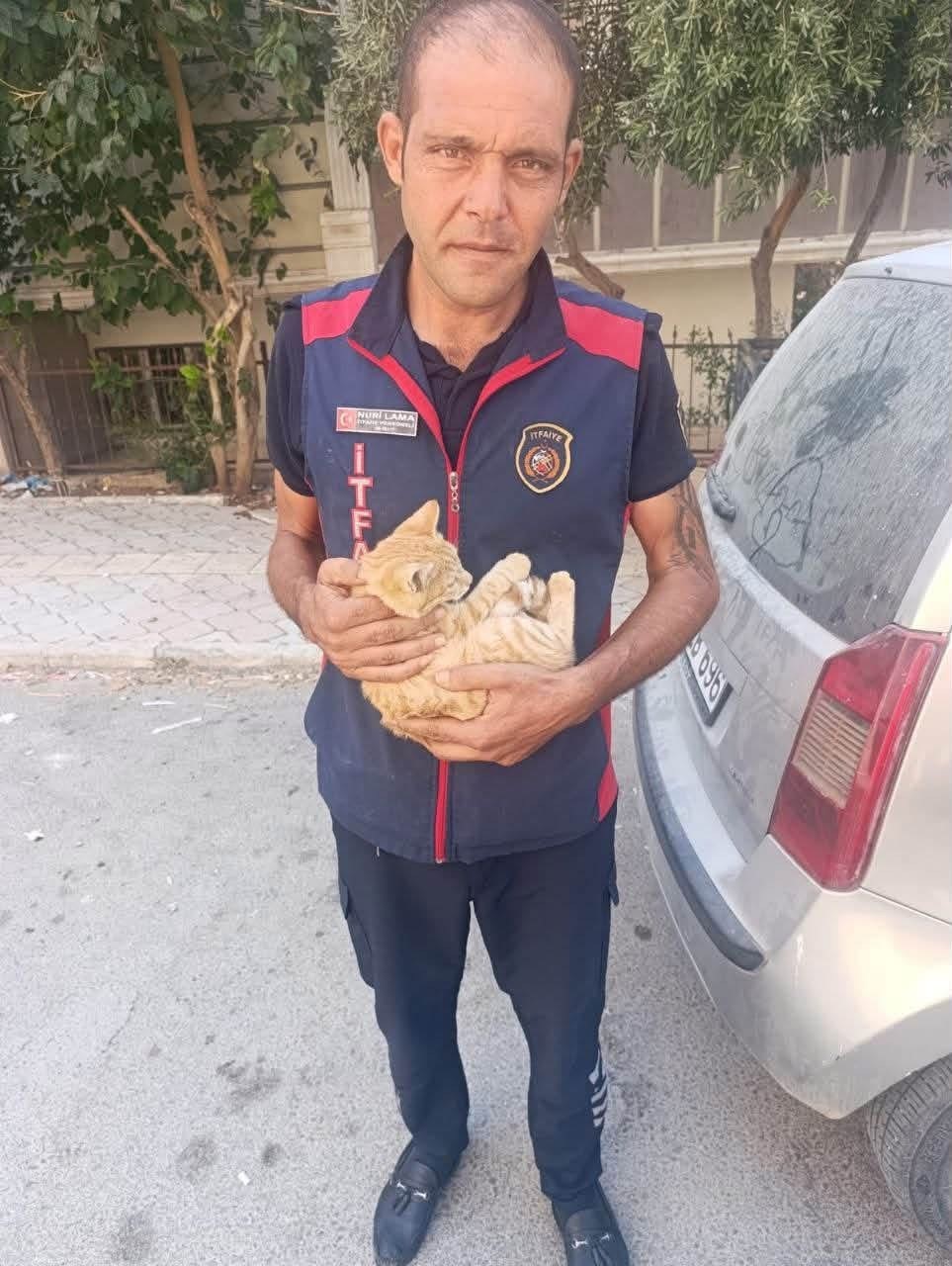 Reyhanlı ve Defne’de mahsur kalan kediler kurtarıldı
