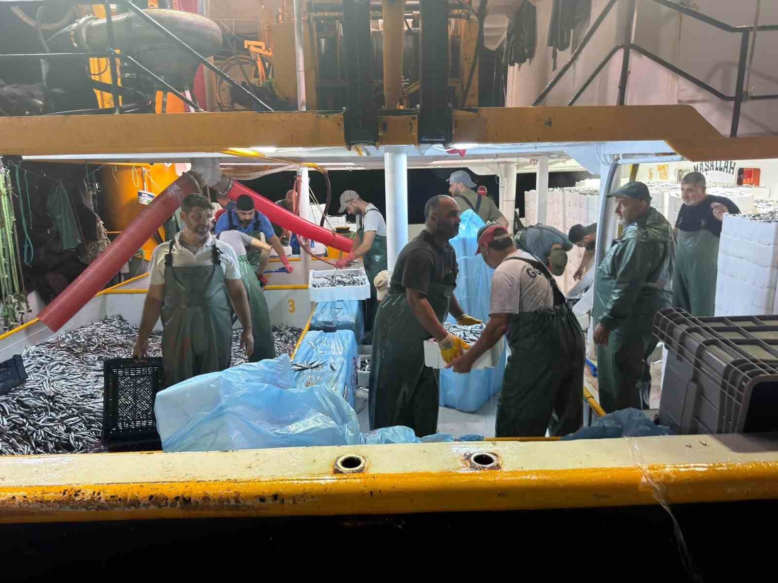 Hamsi avında kota dönemi başladı, denetimler sürüyor