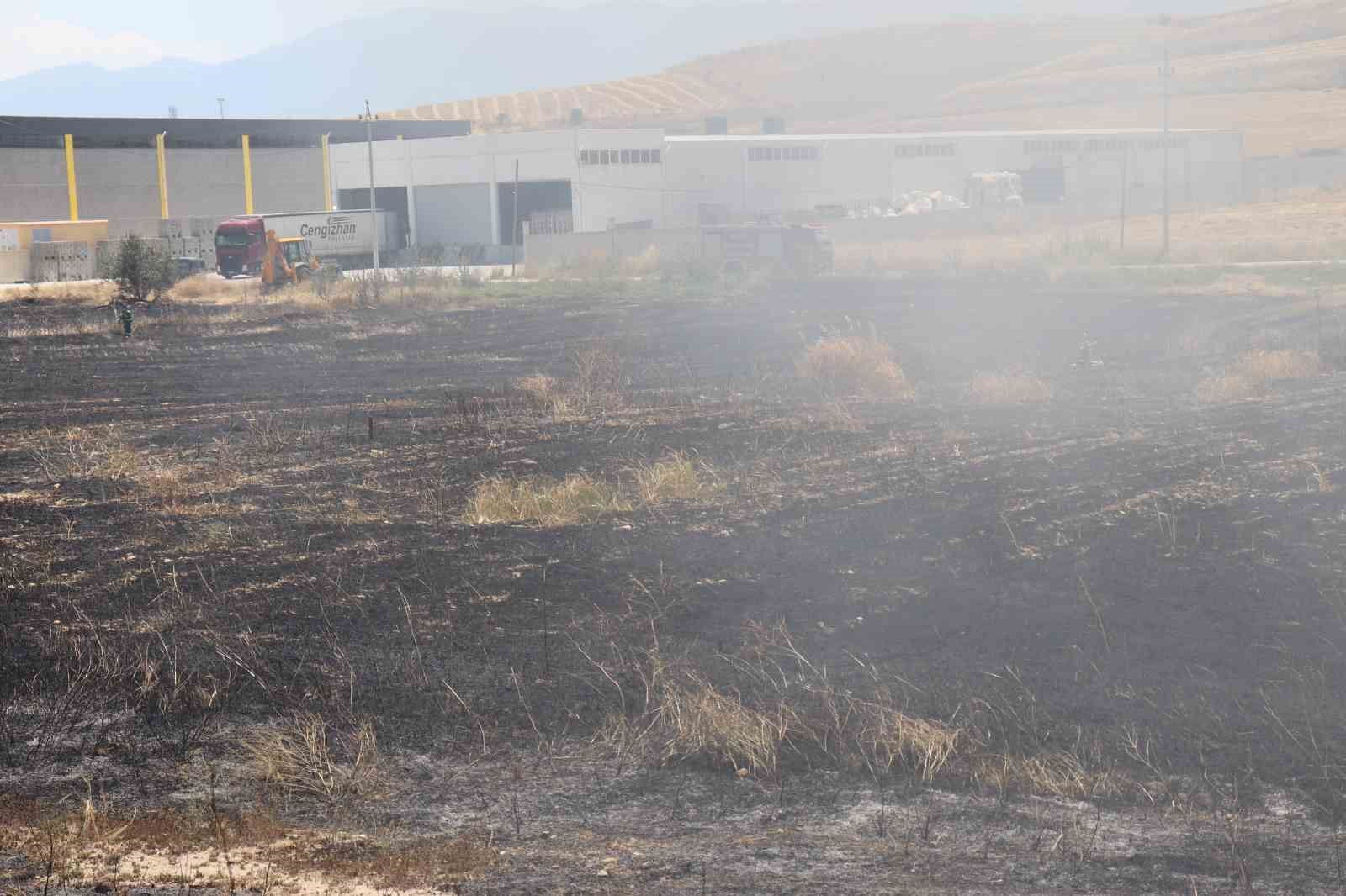 Beyaz eşya yüklü tırda çıkan yangın tahıl tarlalarına sıçradı