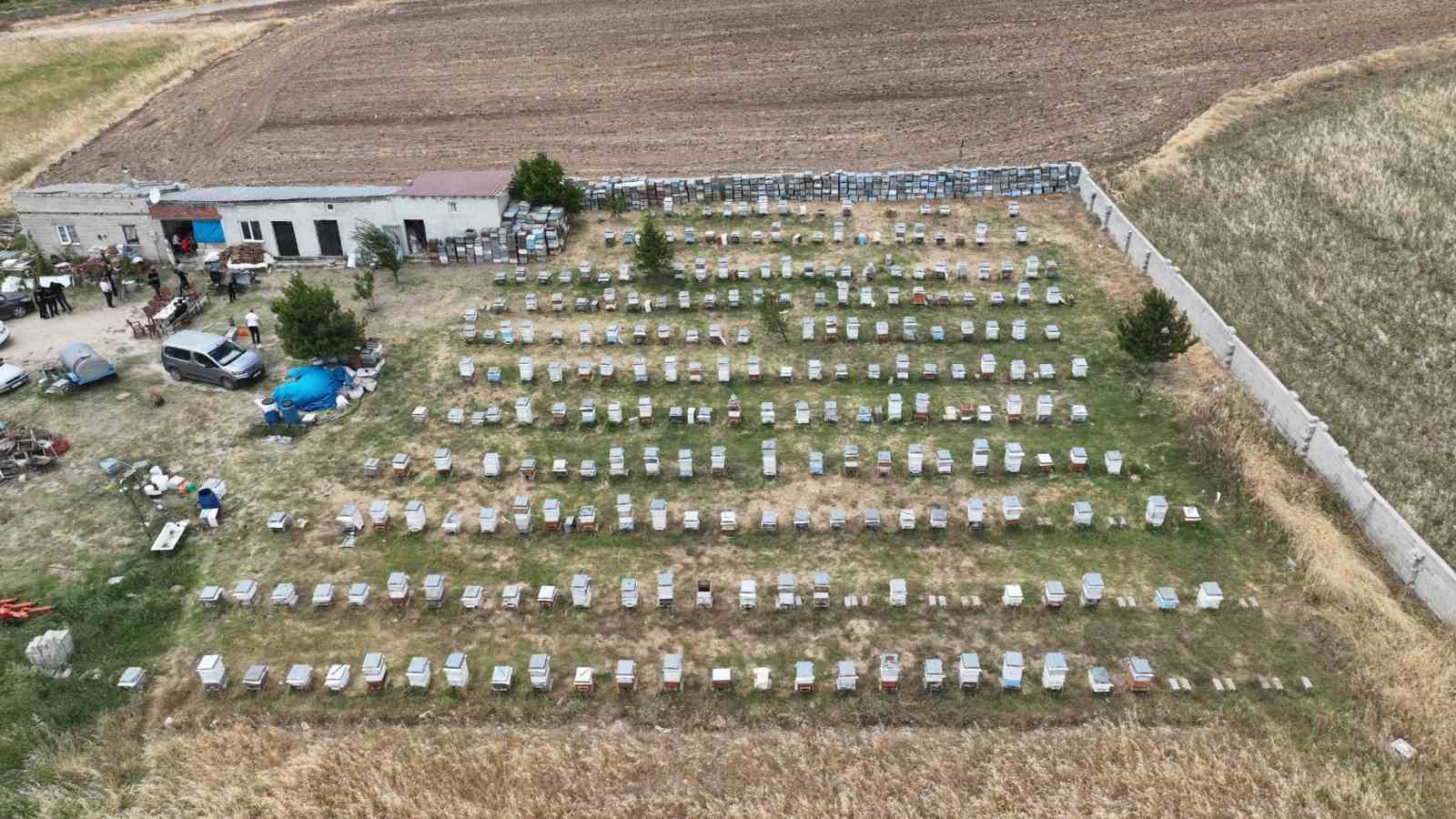 Sorgun&rsquo;da sezonun ilk bal hasadı yapıldı, Sorfest 2026&rsquo;da &lsquo;En İyi Bal&rsquo; se&ccedil;ilecek