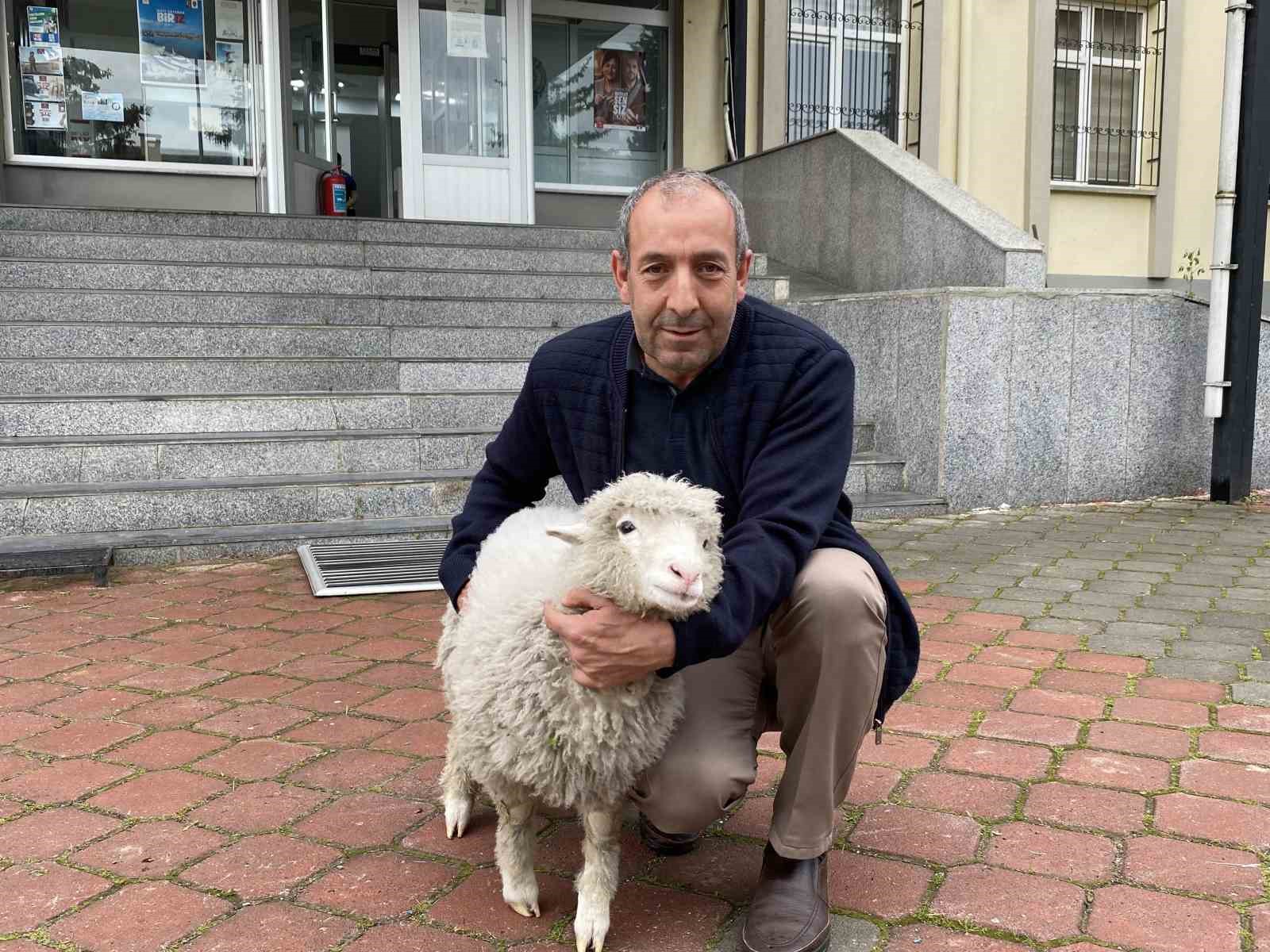 Kavak Adliyesi’nin sevimli maskotu: Kuzu Tertip