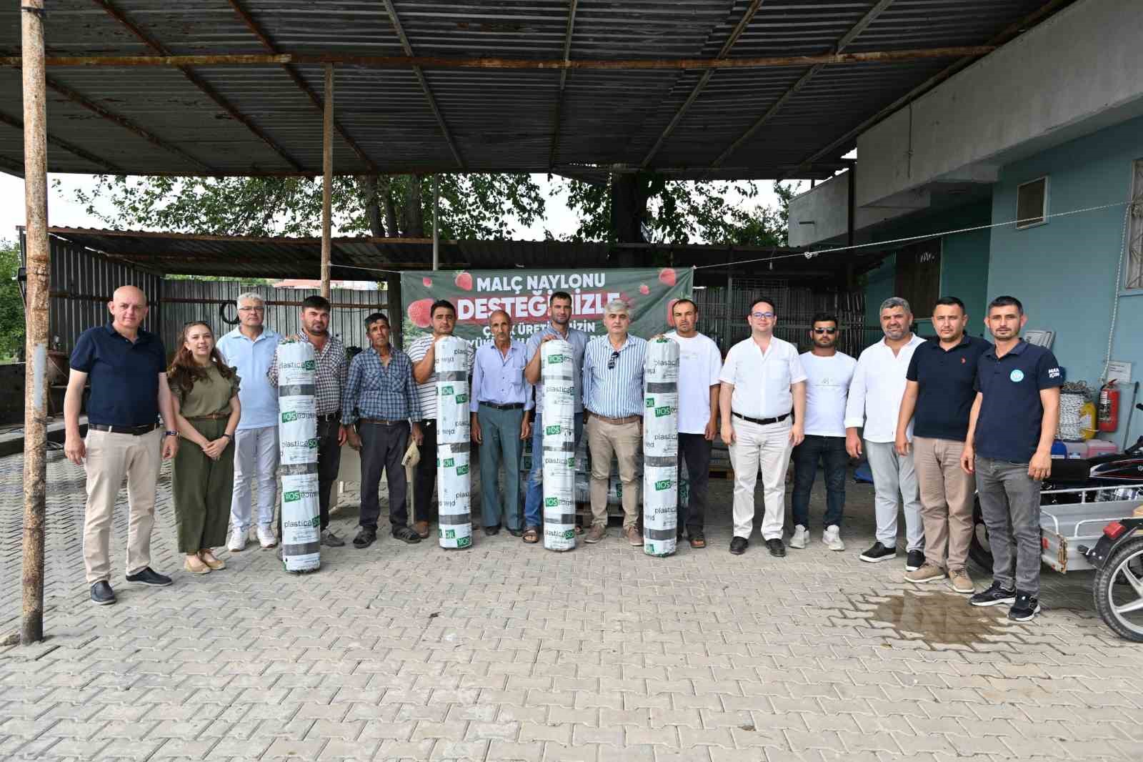 Manisa Büyükşehir’den çilek üreticilerine malç naylonu desteği