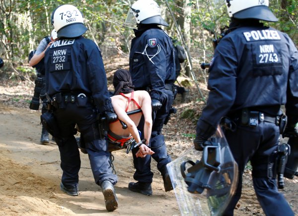 Almanya'da polislerin orman operasyonu durdu