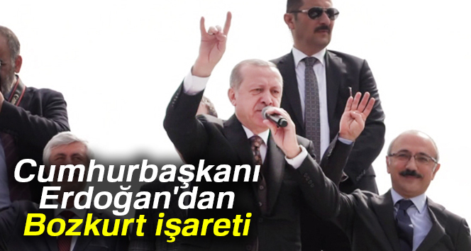 Cumhurbaşkanı Erdoğandan Bozkurt işareti